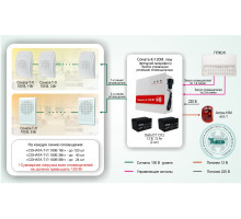 Standard solution: SOUE-005