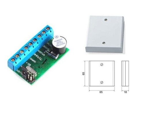 Z-5R (mod. Wiegand 5000 Case)