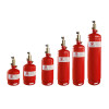 Equipment for gaseous fire extinguishing