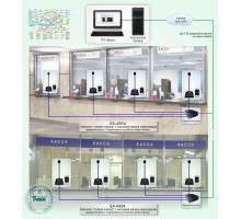 Standard solution: DMF-007