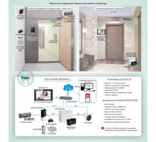 Standard solution: DMF-010