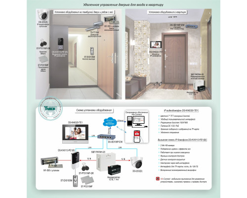 Standard solution: DMF-010