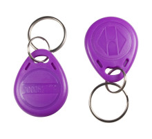 Keychain EM-Marin, purple