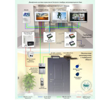 Standard solution: DMF-009