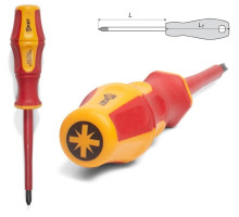 Screwdriver PROFI PZ2x100