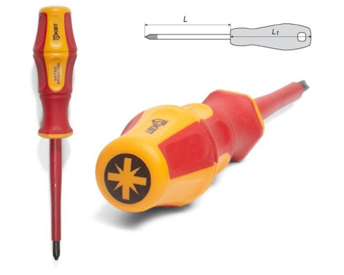 Screwdriver PROFI PZ2x100