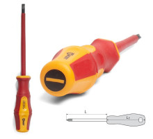 Screwdriver PROFI 5.5x125