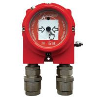 IP 535 "GARANT-Exd" 2KV, two-inlet (through)