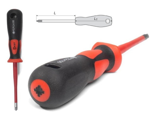 Screwdriver SLIM PZ2x100