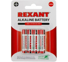 Alkaline battery AAA/LR03 1.5 V 4 pcs. blister (30-1012)