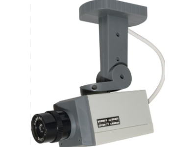 Dummy Surveillance Cameras