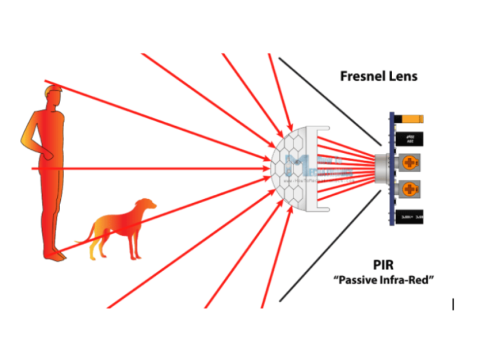 Understanding Motion Sensor Technology