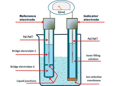 Potentiometric Sensor