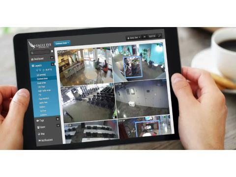 Remote Video Surveillance Access