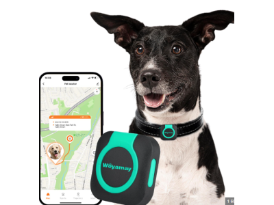 GPS Trackers for Dogs – Enhance Pet Safety with Real-Time Monitoring