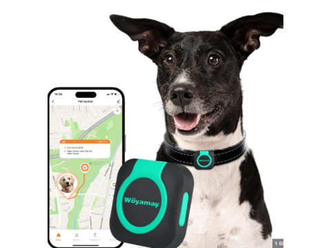 GPS Trackers for Dogs