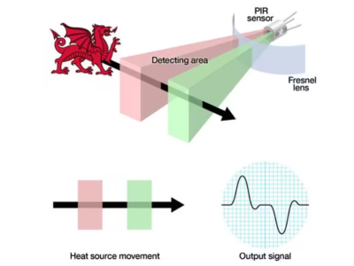 Motion Sensors: Operation, Installation, and Benefits