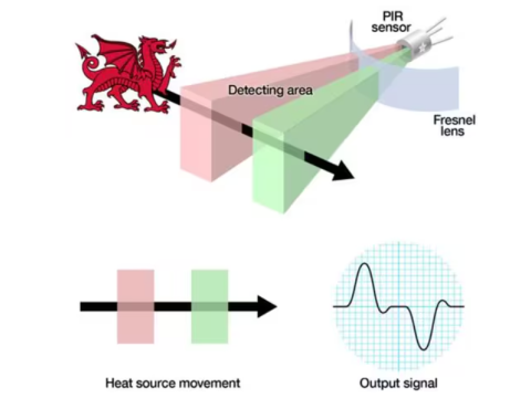 Motion Sensor Basics