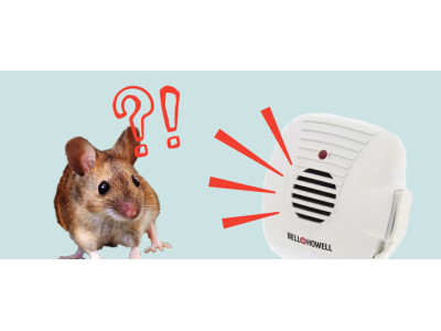 Ultrasonic Rodent Repellers – Humane, Effective Solutions for Mice and Rats