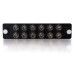 12-Strand, ST, PB Insert Multimode/Single-Mode Adapter Panel (TAA Compliant)