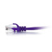 2ft (0.6m) Cat6a Snagless Unshielded (UTP) Ethernet Network Patch Cable - Purple