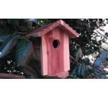 Birdhouse Hidden Camera w/ DVR & Battery