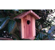 Birdhouse Hidden Camera w/ 4G Cellular Remote Viewing
