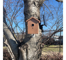 Bird Feeder Hidden Solar Powered Night Vision Camera w/ DVR, Wifi Remote View + 60-Day Battery