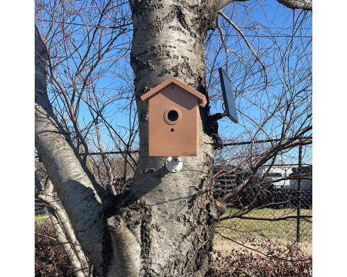 Bird Feeder Hidden Solar Powered Night Vision Camera w/ DVR, Wifi Remote View + 60-Day Battery