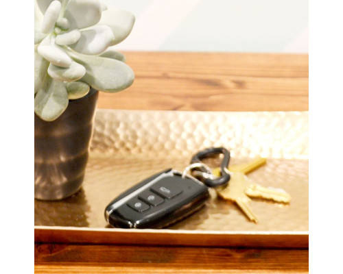 Lawmate Car Remote Keychain Hidden Camera