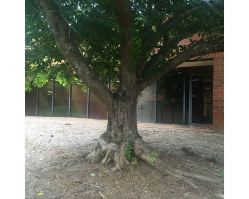 Spy-MAX 4GPTZ 1080P HD 4G/LTE Remote Access PTZ 10x Optical Zoom Day/ Night Outdoor Hunting Camera