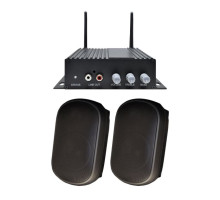 Speco AACEK1B a-live Kit with a-live Amplifier and 5' 8 Ohms Indoor/Outdoor Speakers, Black