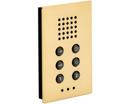 Alpha FSE1500G 2-Wire Surface Emergency Station - Gold