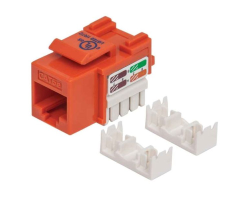 Intellinet 210577 Cat5e Keystone Jack