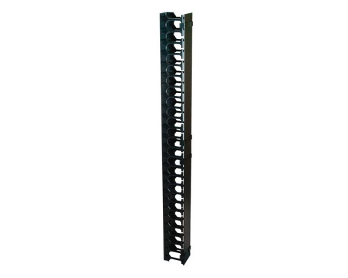 VMP ERENVCM-42 Vertical Cable Management, 42U