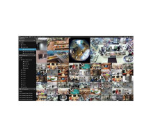 Geovision GV-VMS001 1-Channel Camera License for GV-VMS-Pro