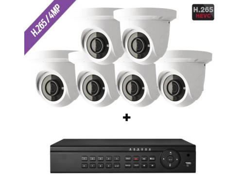 Cantek-Plus CTPK-NH41E6-4T IP Camera System w/(6) Eyeball Cameras 4TB