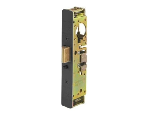 Adams Rite 4900-35-101-335 Heavy Duty Deadlatch with Standard Faceplate in Black Anodized