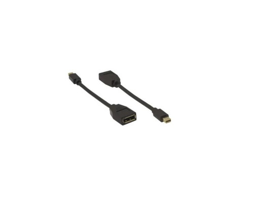 Kramer AD-MDP-DPF Mini DisplayPort Male to DisplayPort Female Adapter