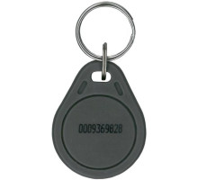 Alpha PT001G Electronic Proximity Tag-Grey