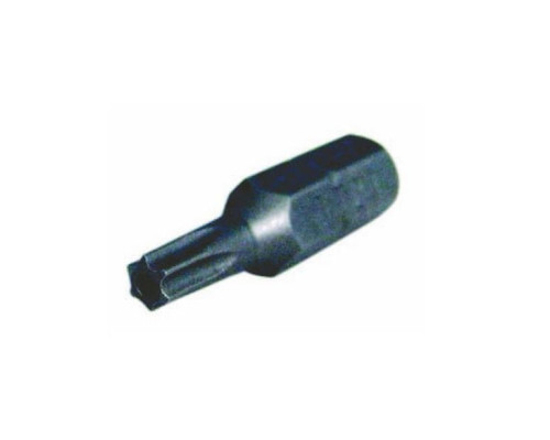 HES 10270058 Security Tamper-Resistant Torx R20 insert Bit