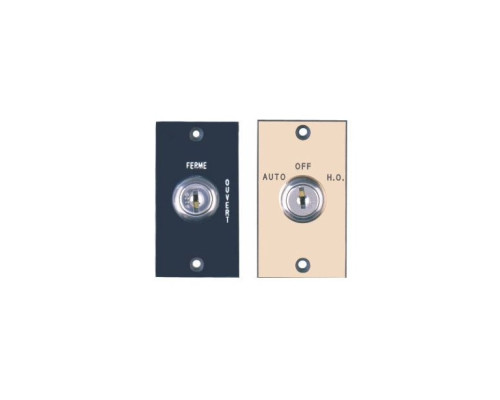 Camden Door Controls CM-160-20 Key Switch with Plastic Lamacoid (mini) Faceplate, 2 Position Switch, Momentary, 'Off'/'Open'