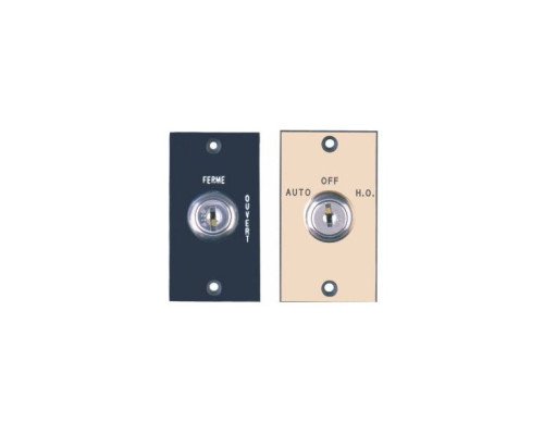 Camden Door Controls CM-160 Key Switch with Plastic Lamacoid (mini) Faceplate