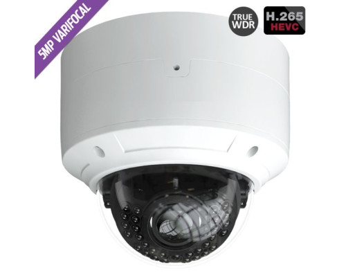 Cantek-Plus CTP-TLV15VHN 5MP H.265 Network IR Outdoor Dome Camera