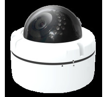 Cantek-Plus CTP-TLVA29AV 2.4Mp Outdoor IR HD Dome Camera