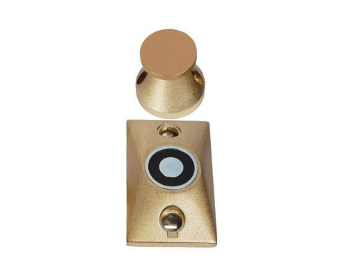 Bosch D370B Wall-Mount Door Holder with Brass Finish