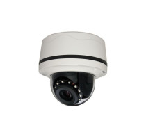 Pelco S-IMP221-1RS-P 2 Megapixel Network Outdoor IR Dome Camera, 3-10.5mm Lens