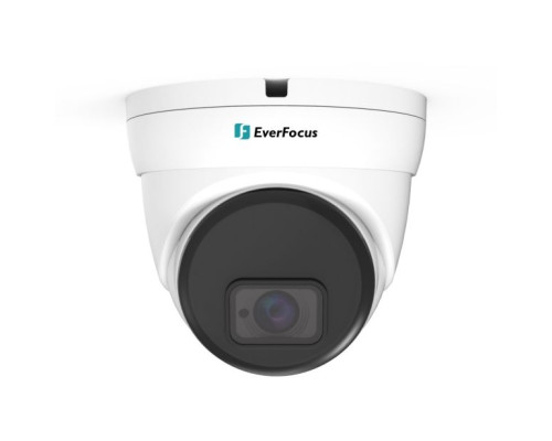 EverFocus EBN1240-SG 2 Megapixel Outdoor IR Ball Network Camera with 3.6mm Lens