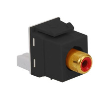 ICC IC107R8GBK RCA/IDC Module, Red Insert, Black