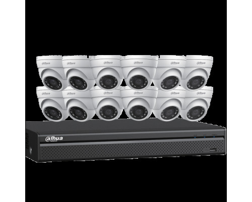 Dahua N5164E124 12 x 4 MP Eyeball Network Cameras with One (1) 16 Channel 4K NVR, No HDD